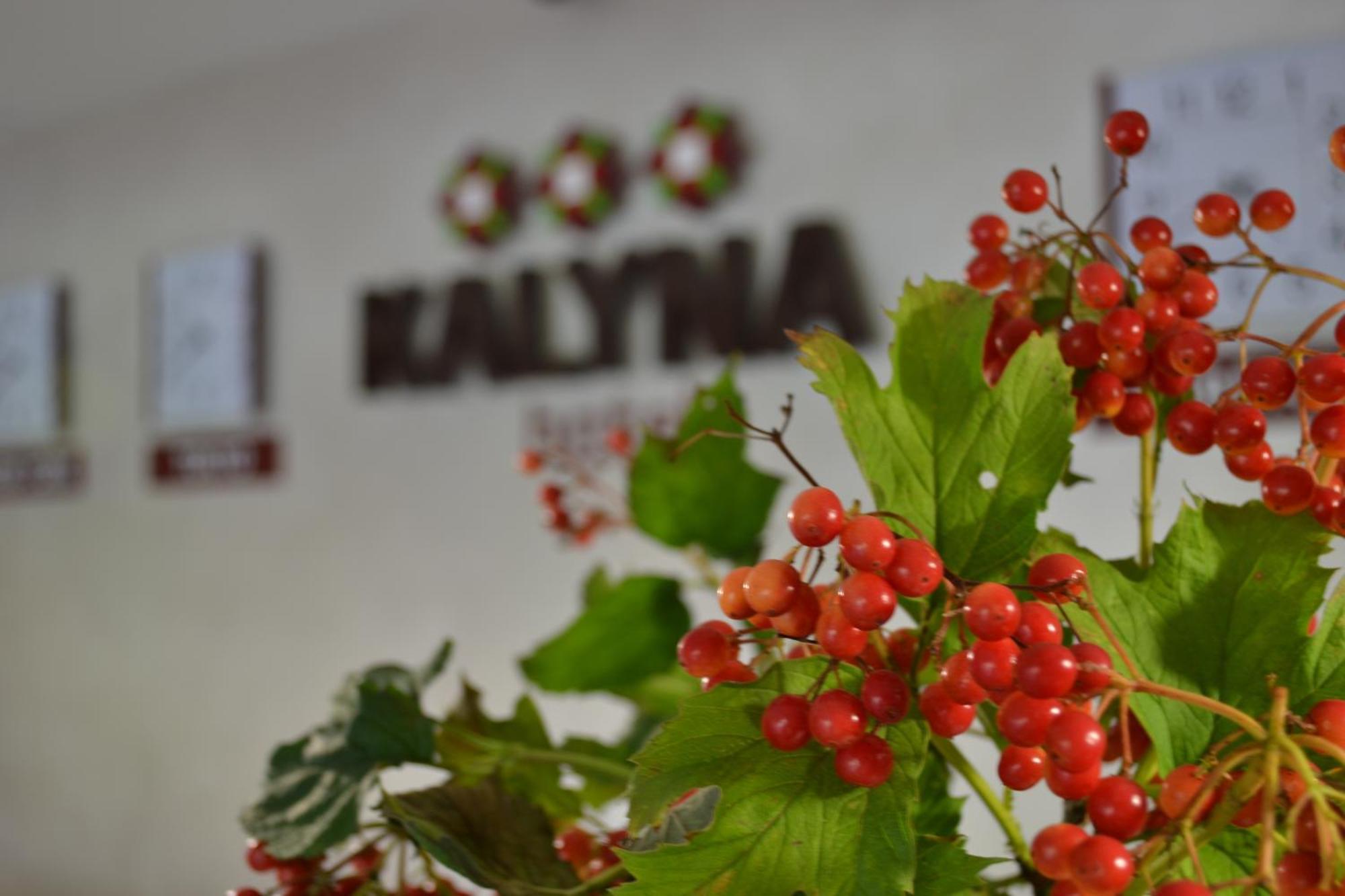 Hotel Kalyna Jarkov Exterior foto